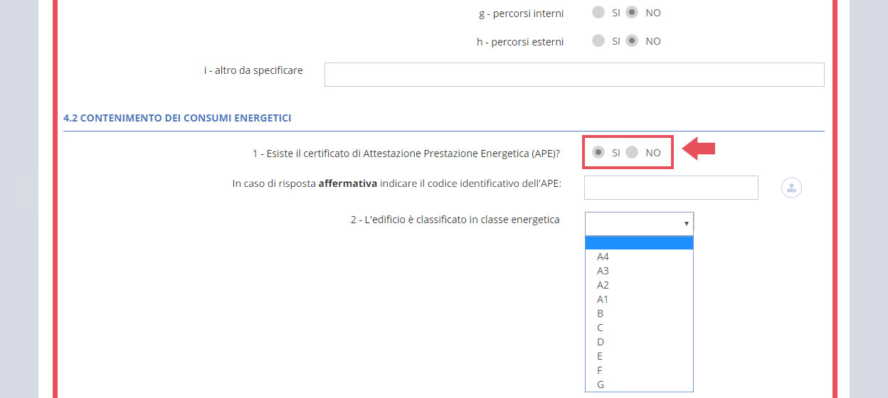 immagine pagina sezione D4 requisiti particolari, risposte affermative